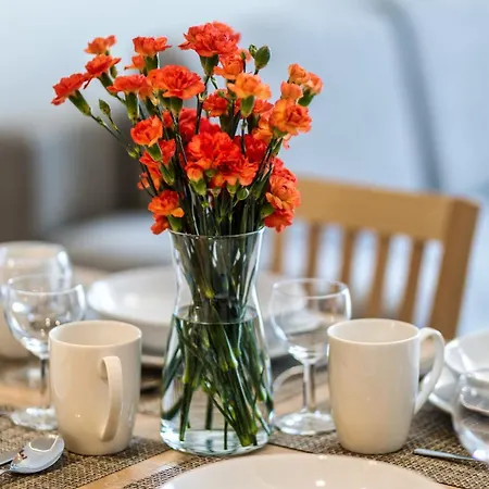 Comfy - Rodzinny Nadmorski Dwor I 10 Minut Plaza Apartment Danzig